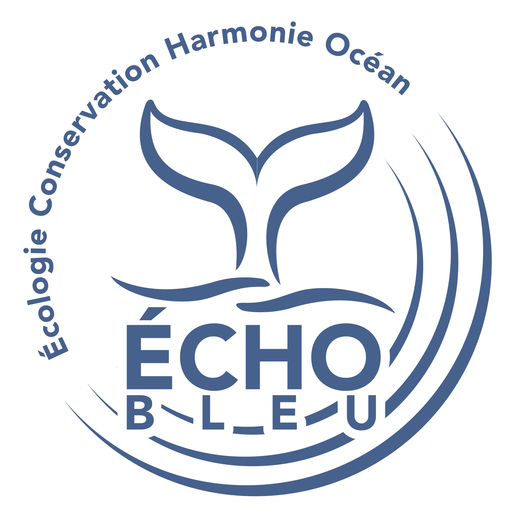 ÉCHO Bleu
