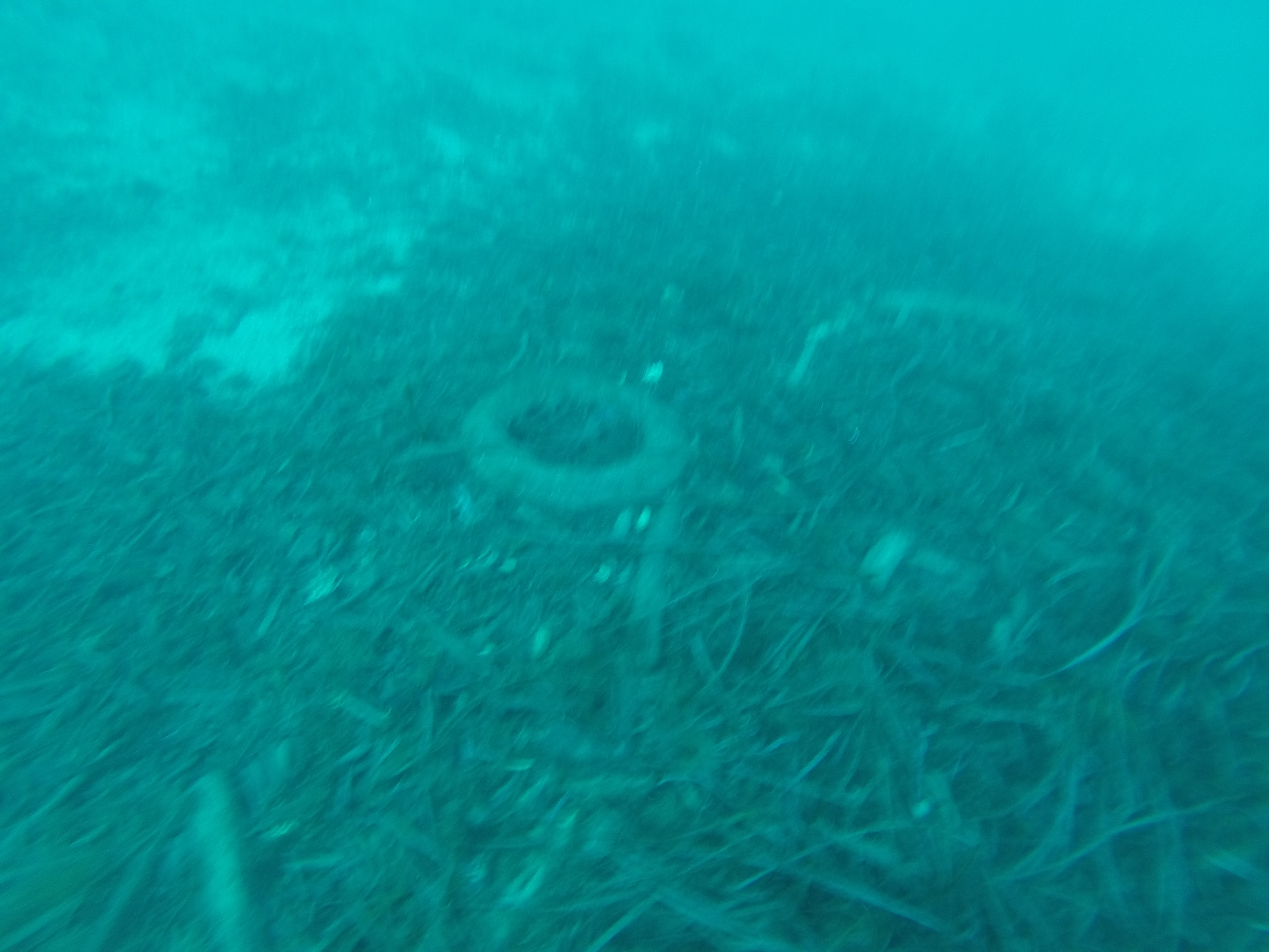 GOPR0996.JPG
