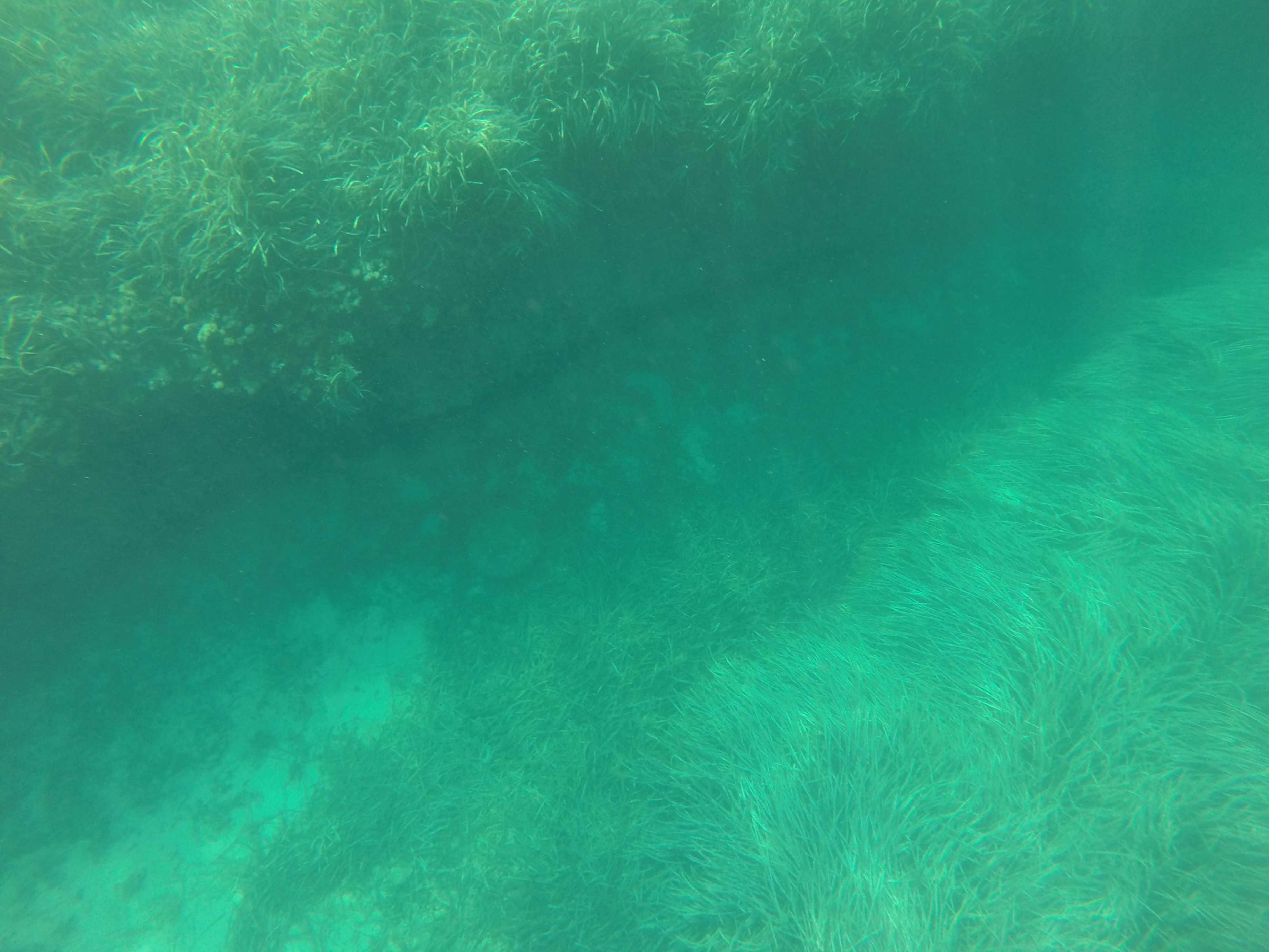 GOPR1052.JPG