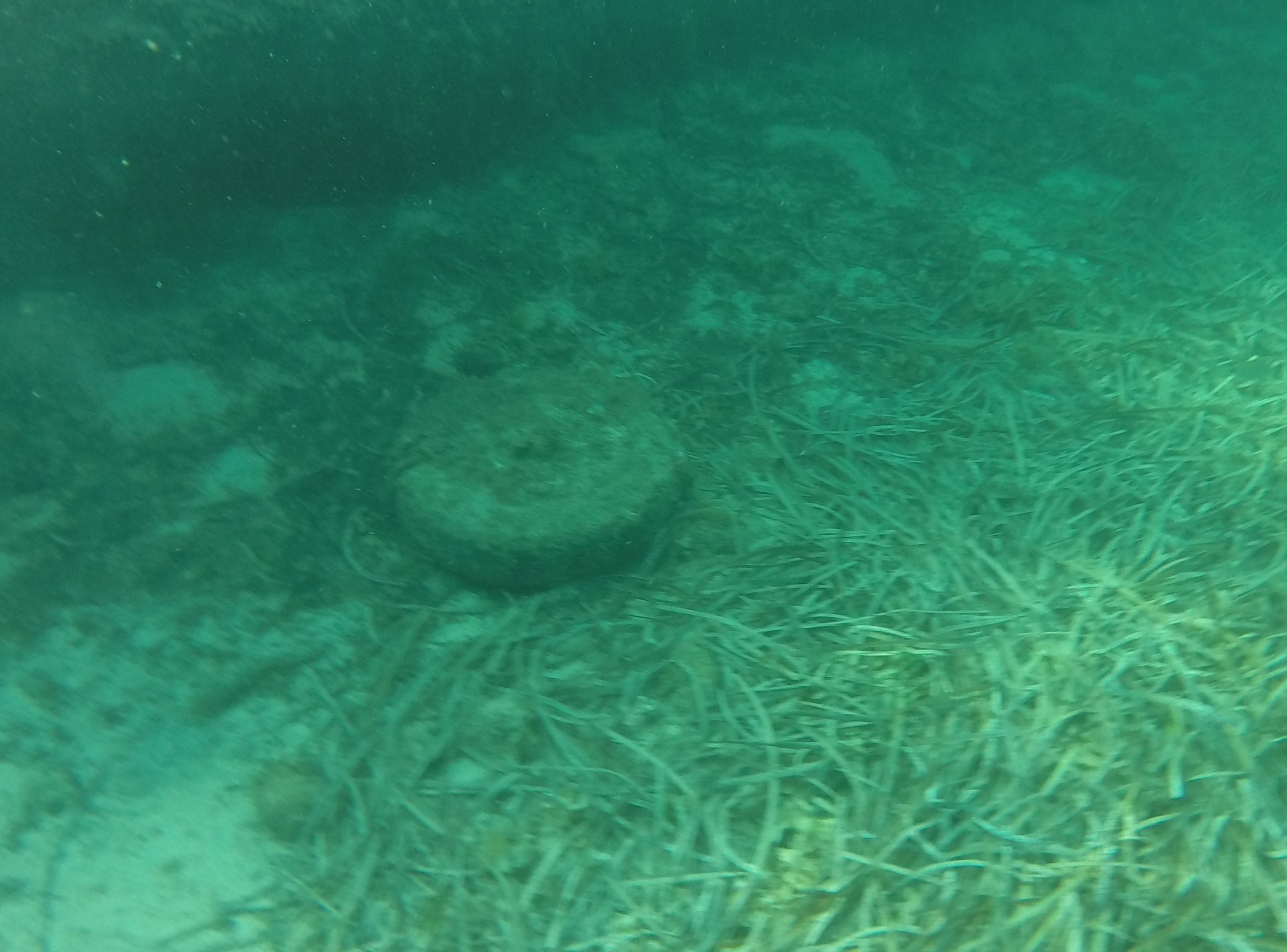 GOPR1054.JPG
