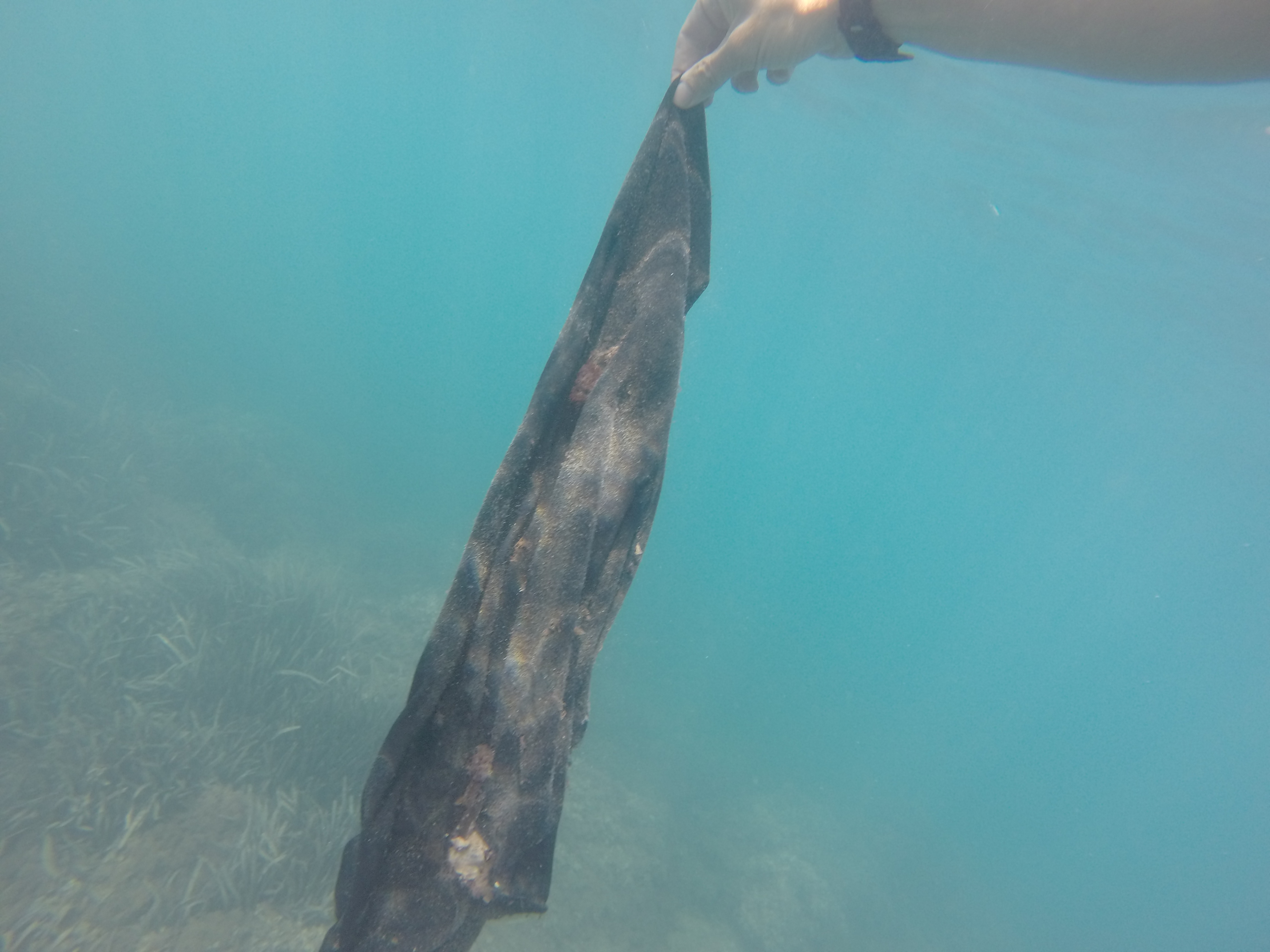 GOPR1296.JPG