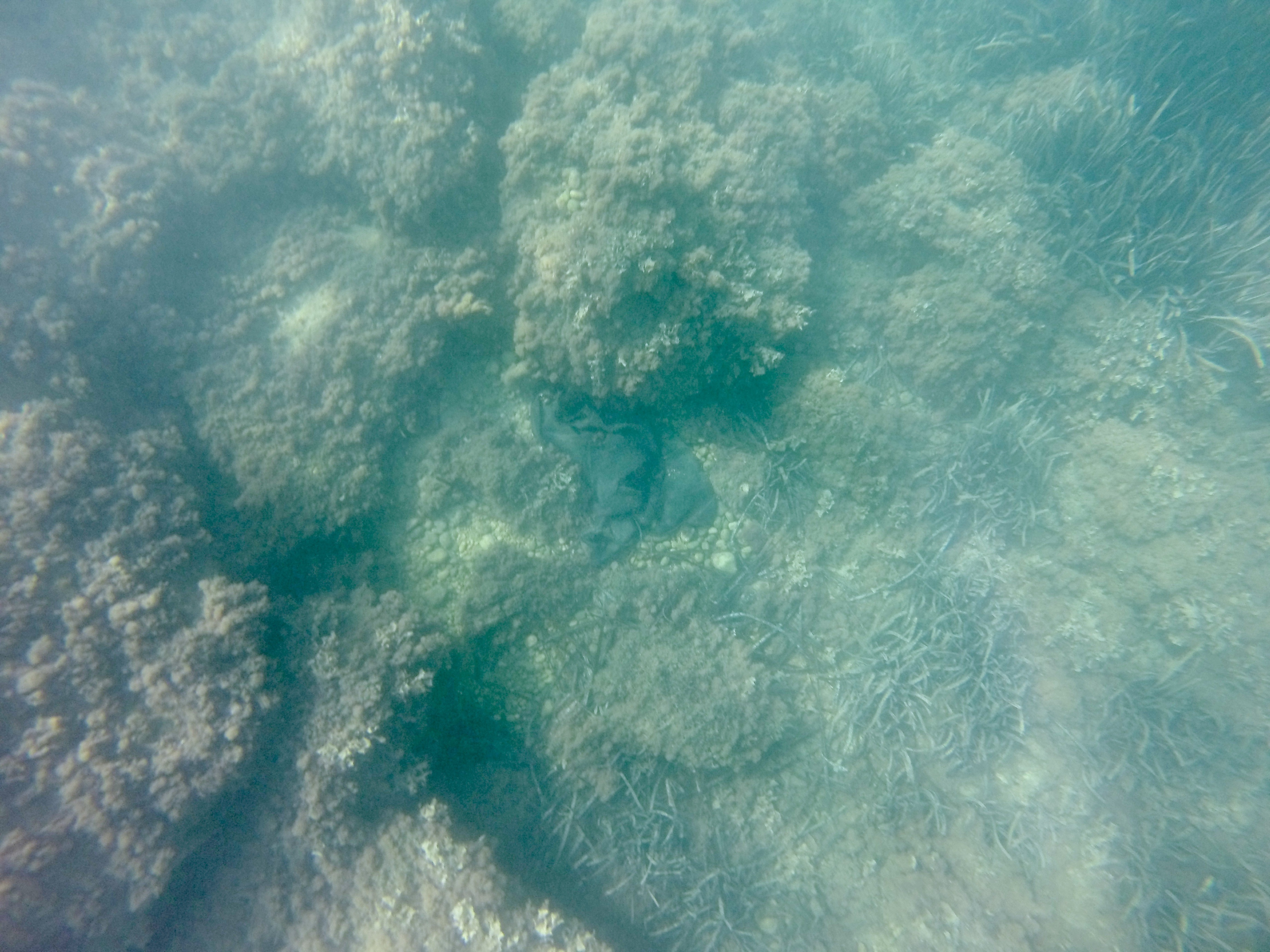 GOPR1295.jpg