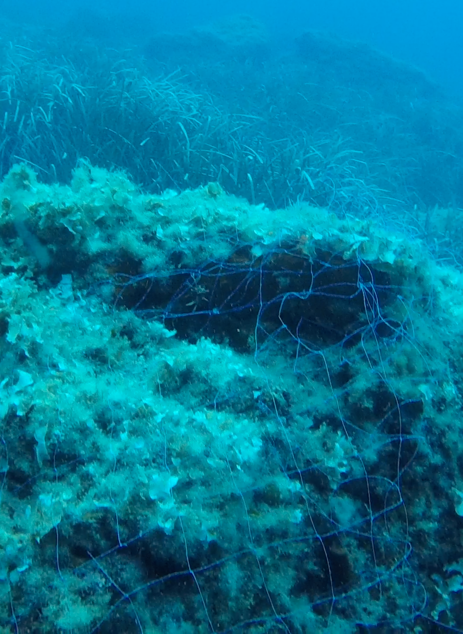 Capture d’écran 2025-10-18 à 15.55.49.png