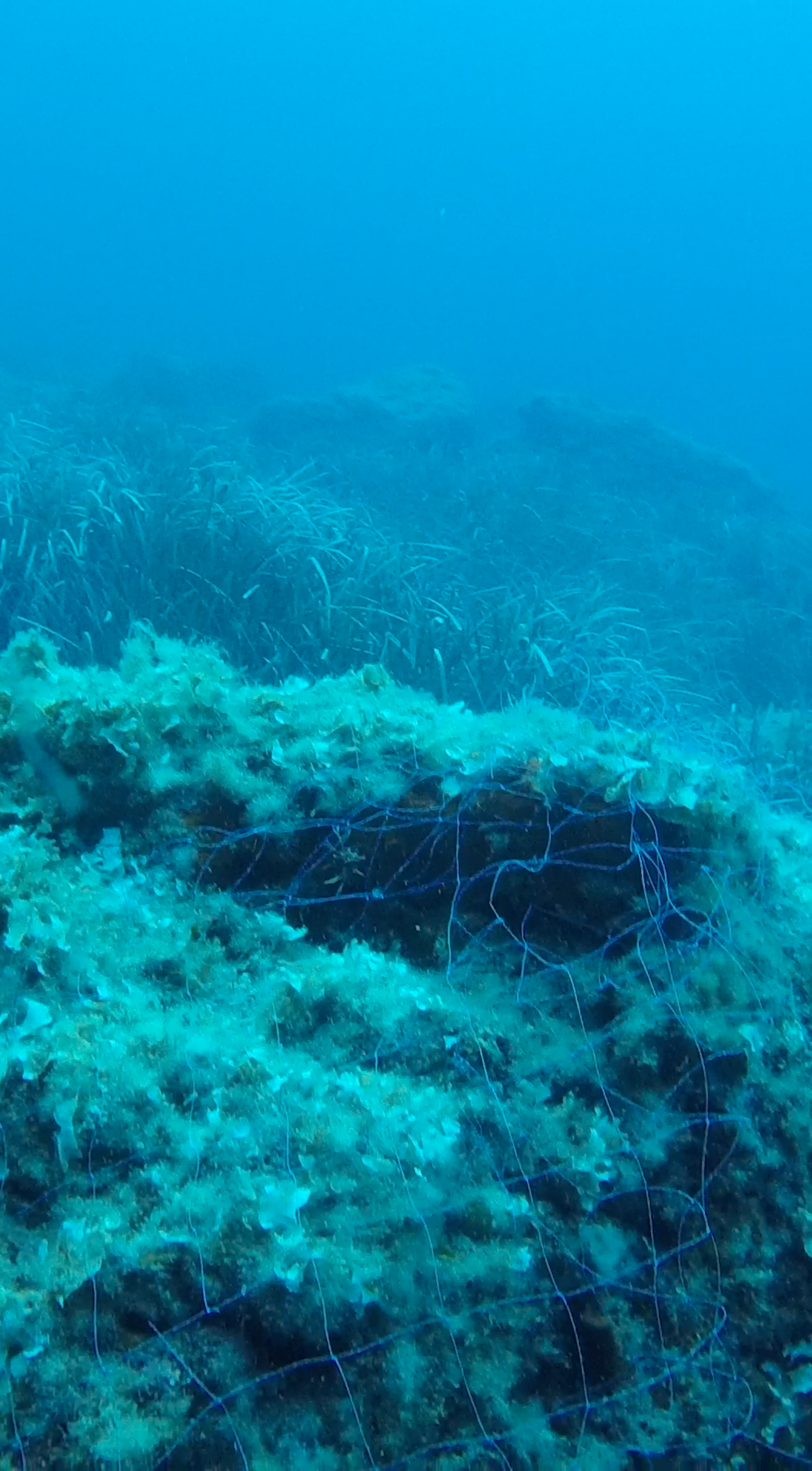 Capture d’écran 2025-10-18 à 15.55.38.png