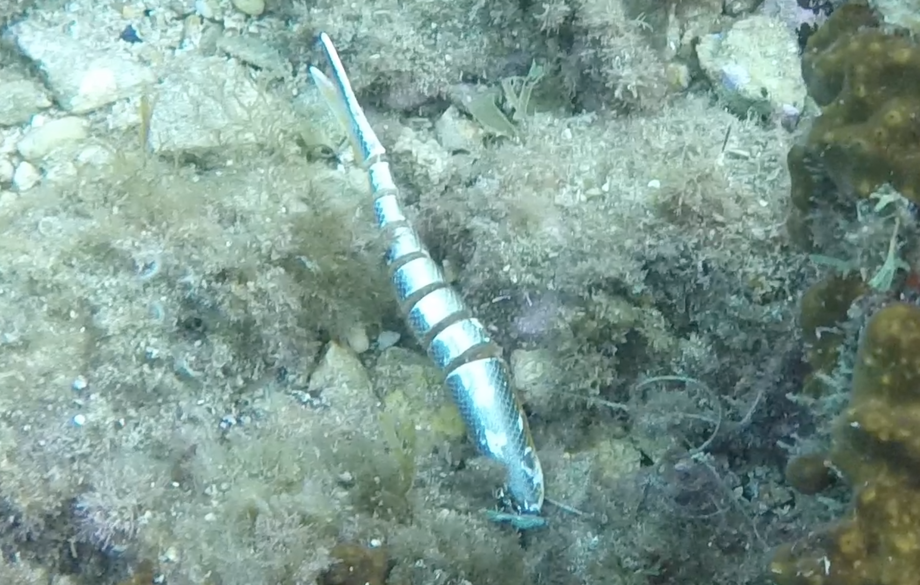 Capture d’écran 2026-03-07 à 18.41.21.png