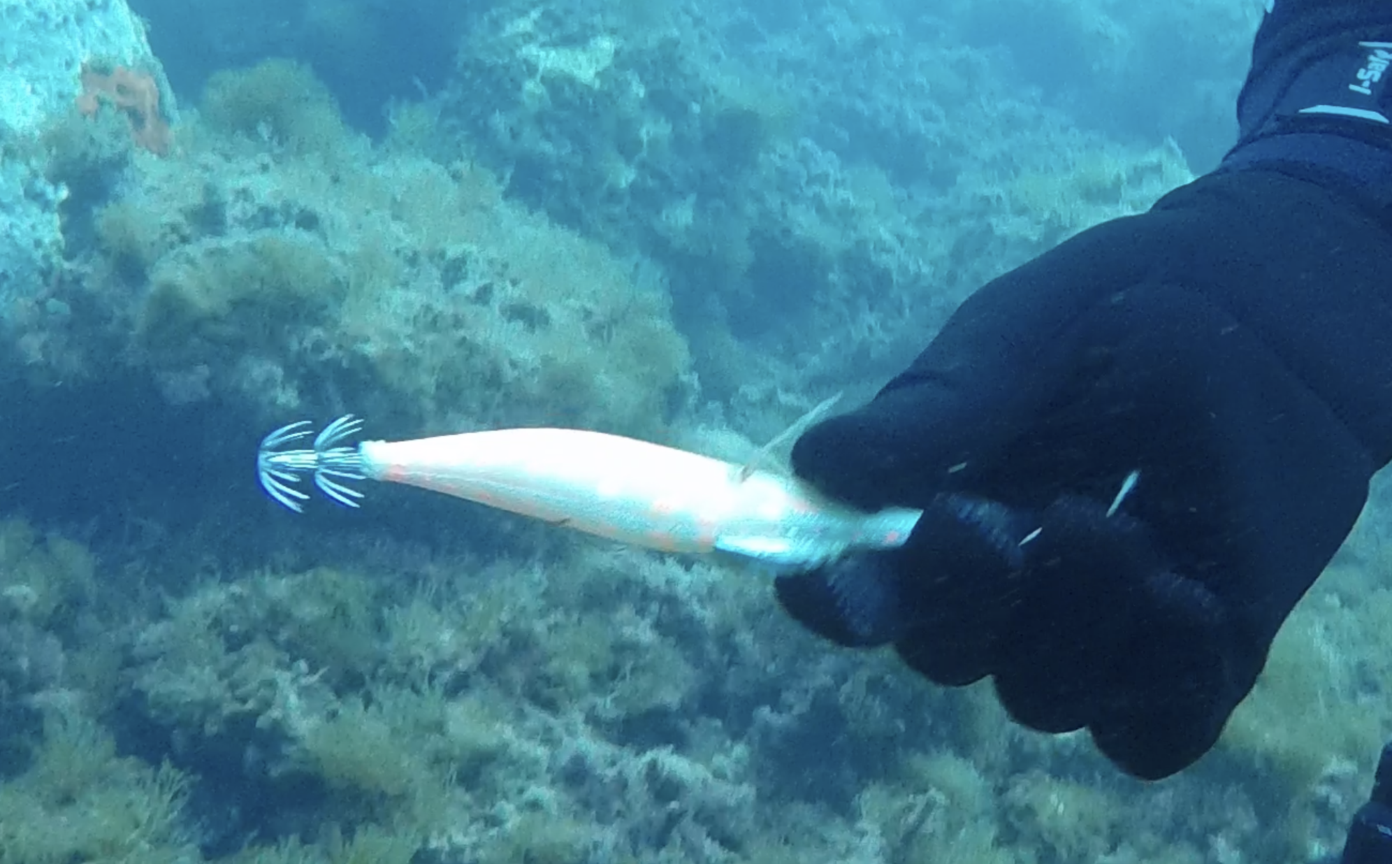 Capture d’écran 2026-03-07 à 18.40.27.png