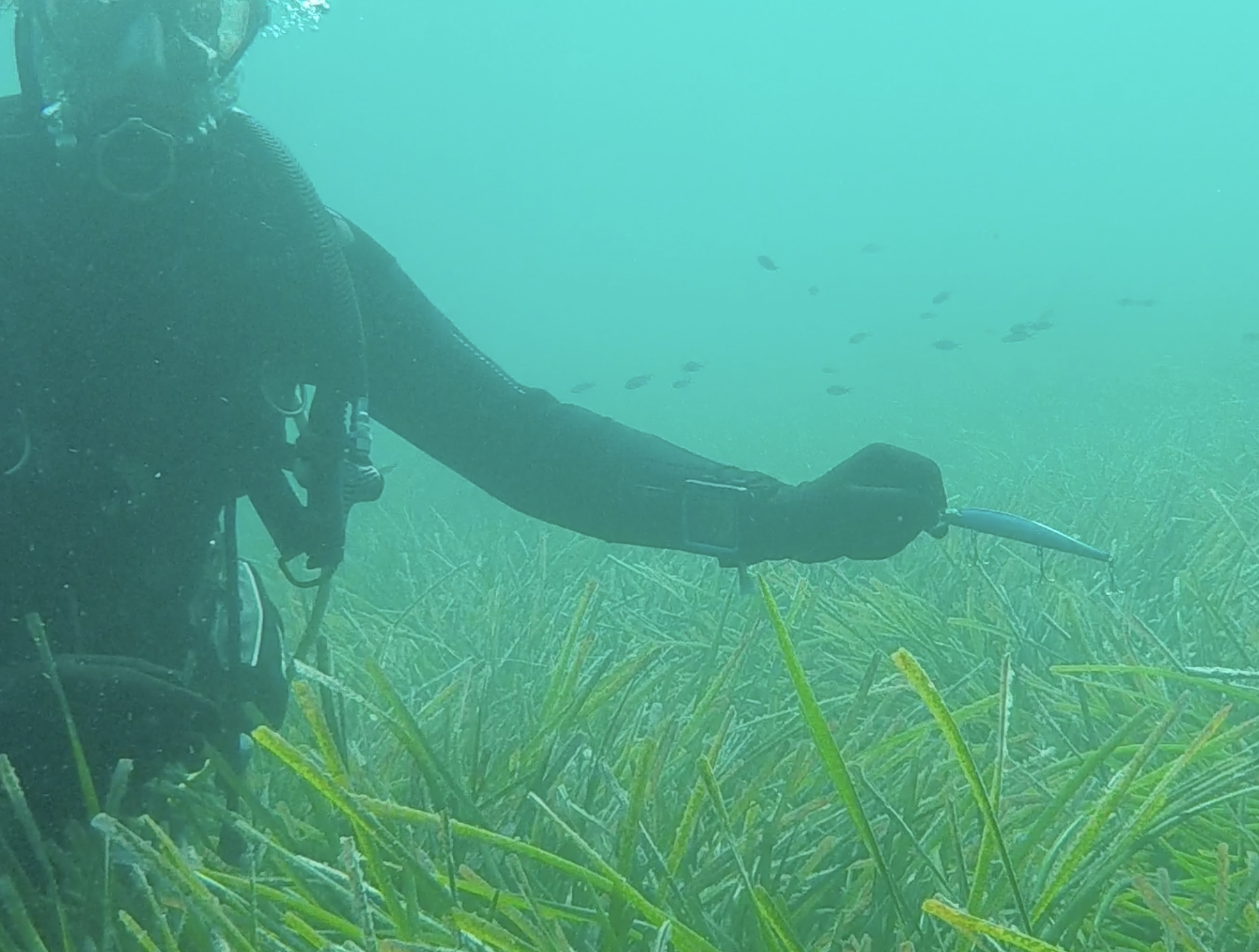 Capture d’écran 2026-04-10 à 17.03.38.png