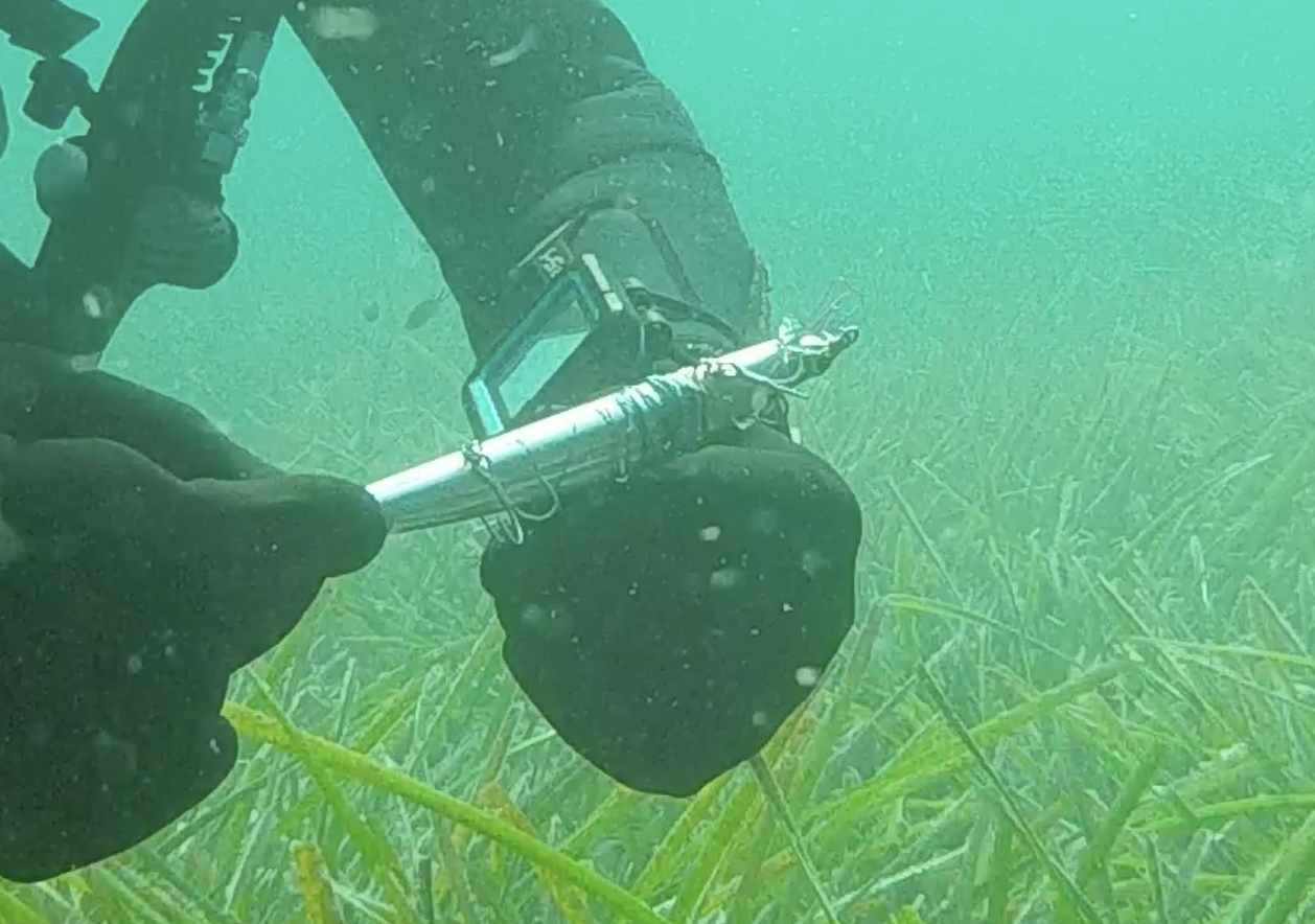 Capture d’écran 2026-04-10 à 17.04.07.png