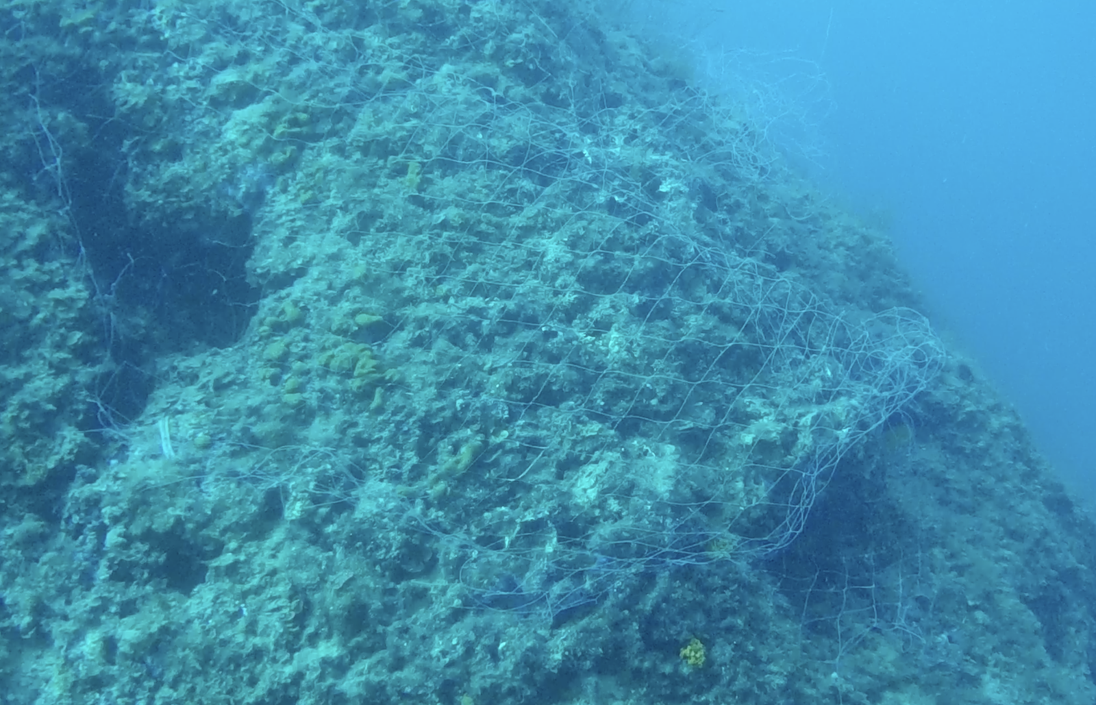 Capture d’écran 2026-04-10 à 17.00.06.png