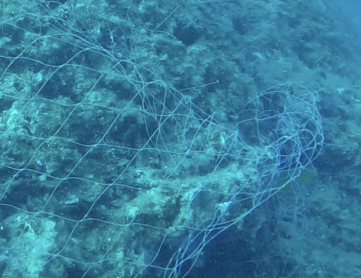 Capture d’écran 2026-04-10 à 17.46.09.png