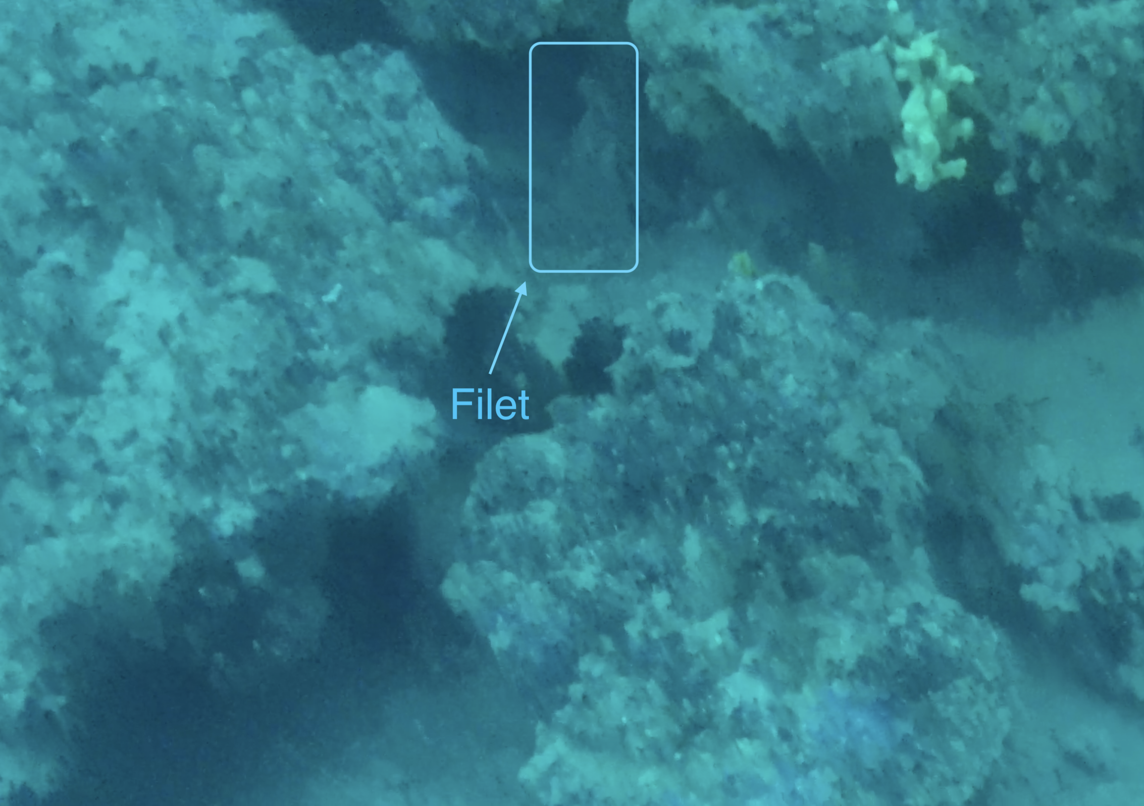 Capture d’écran 2026-04-15 à 16.47.41.png