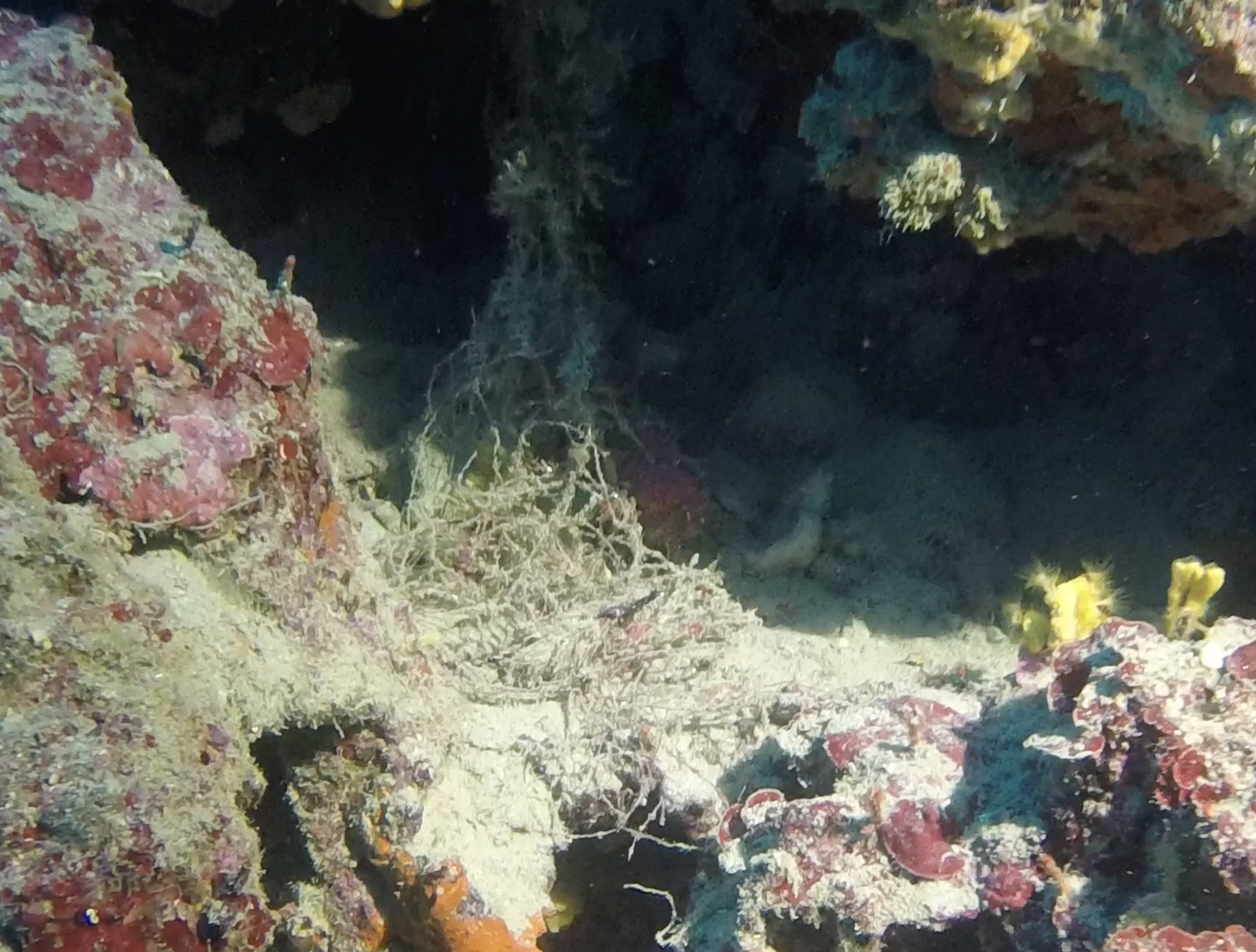 Capture d’écran 2026-04-15 à 16.47.16.png